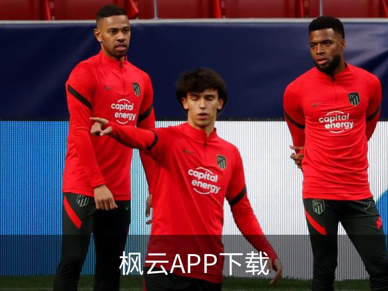 了解枫云APP下载